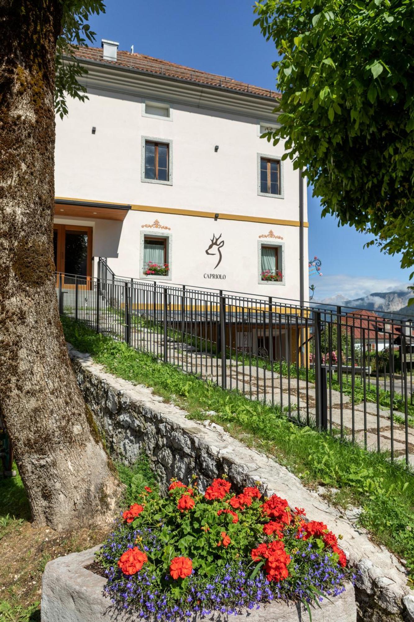 Al Capriolo Hotel Vodo Cadore Exterior photo